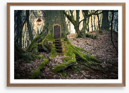 The fairy forest