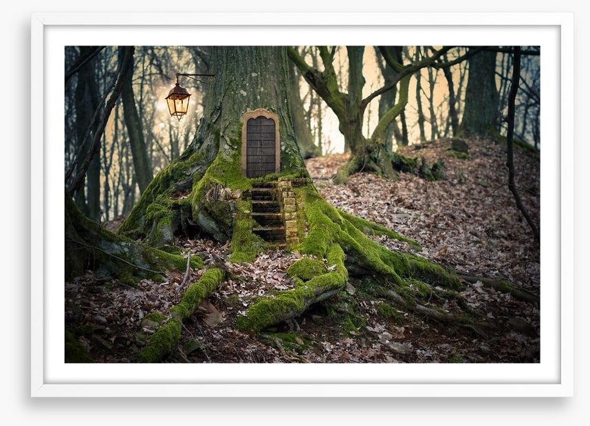 The fairy forest