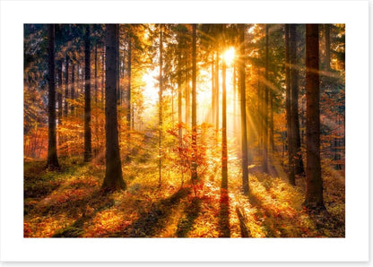 Sunbeam and shadows