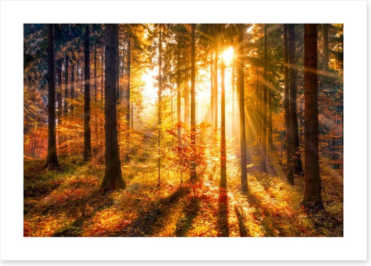 Sunbeam and shadows