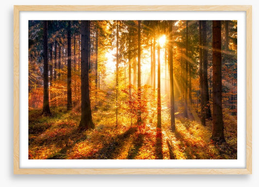 Sunbeam and shadows