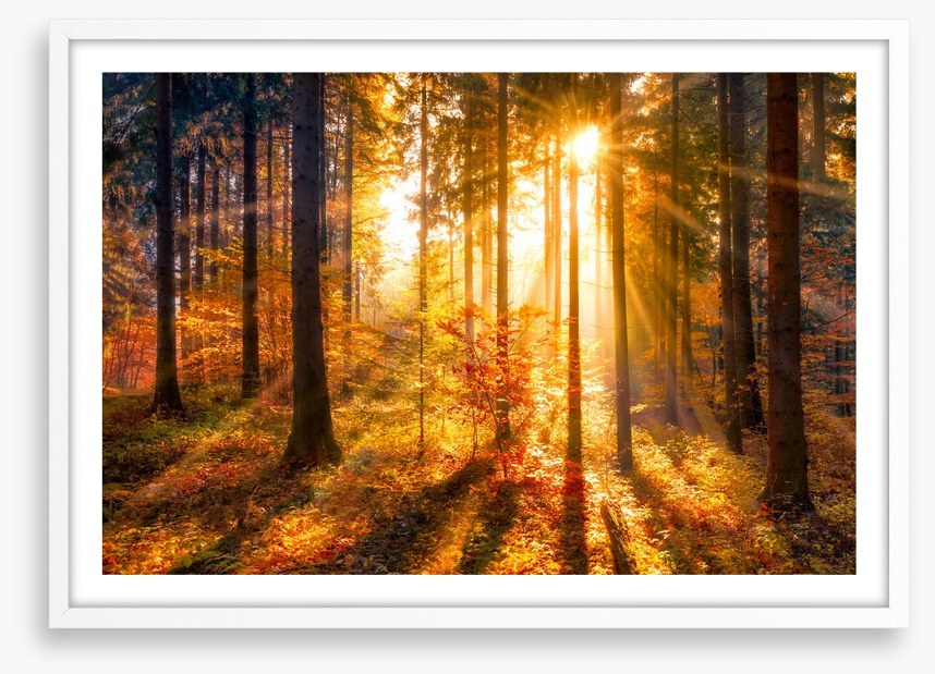 Sunbeam and shadows