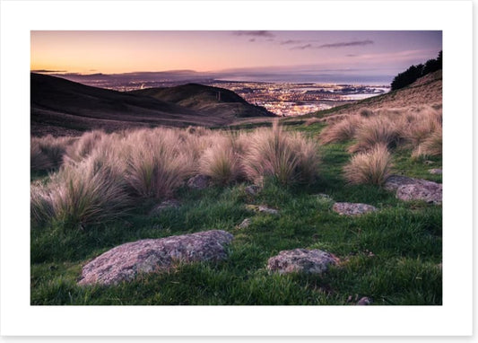 Down to Christchurch