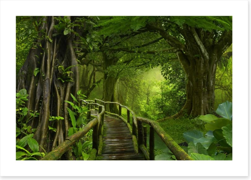 Through the jungle
