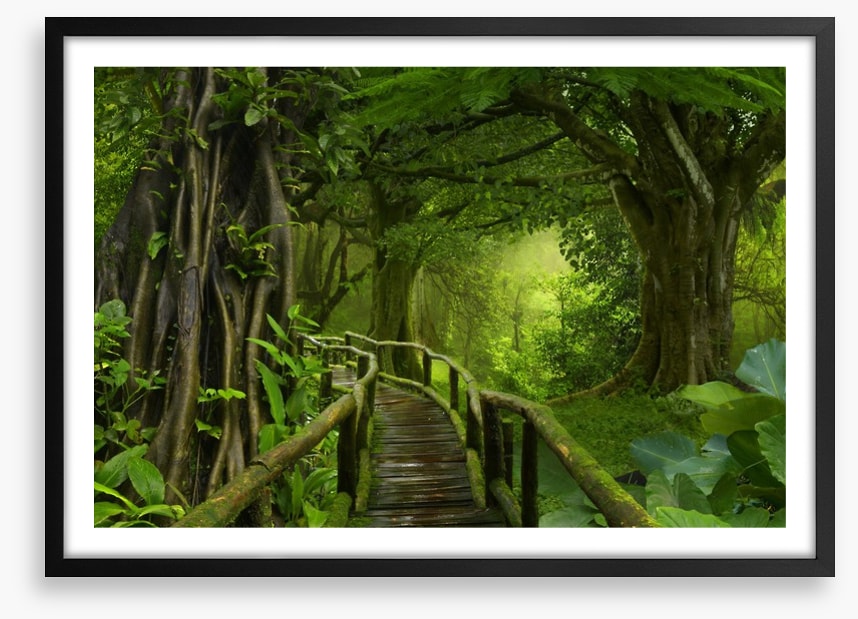 Through the jungle