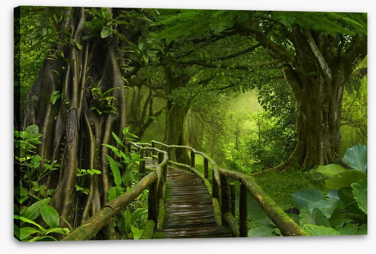 Through the jungle