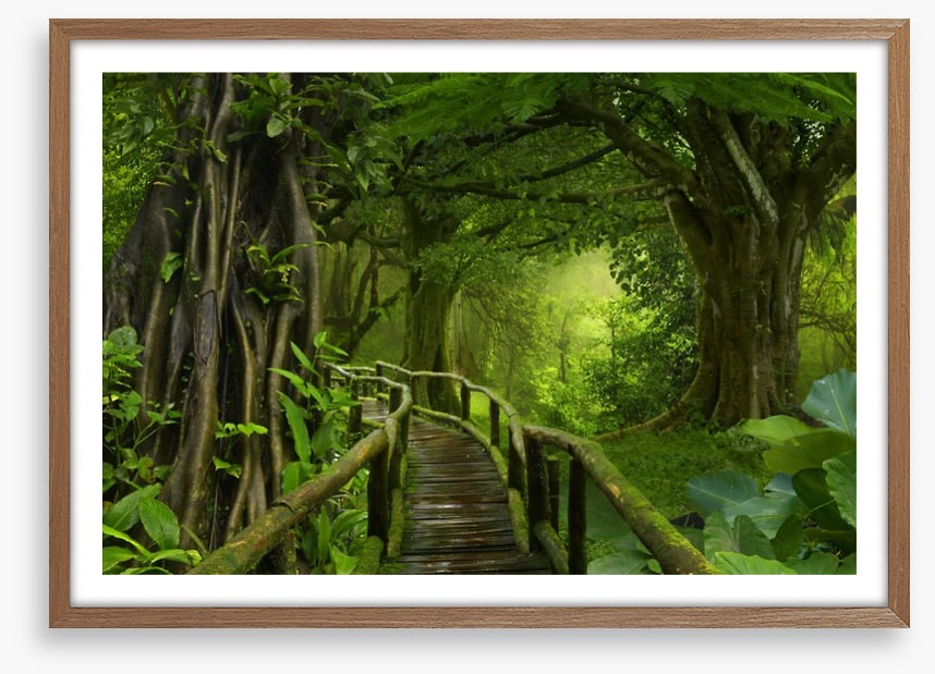 Through the jungle