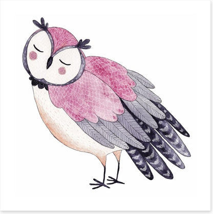 Owls
