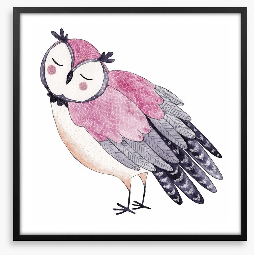 Owls