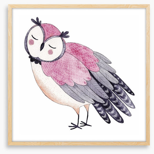 Owls