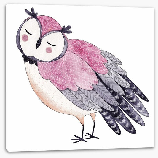 Owls