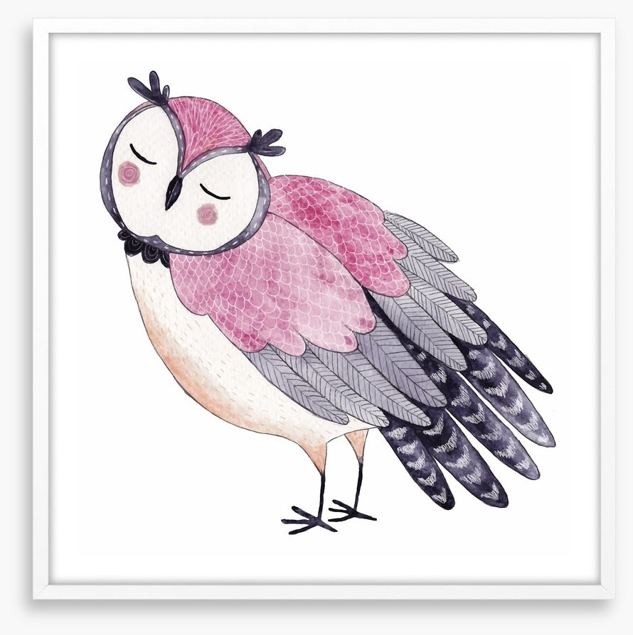 Owls