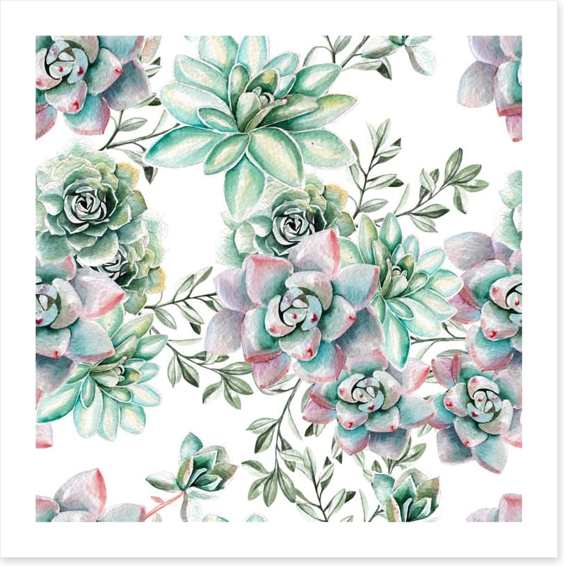 Succulent spring