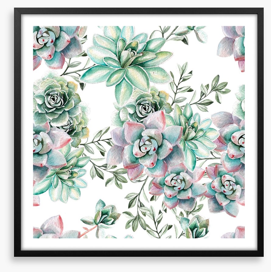 Succulent spring