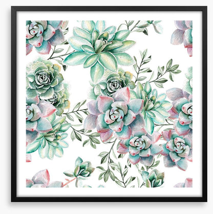 Succulent spring