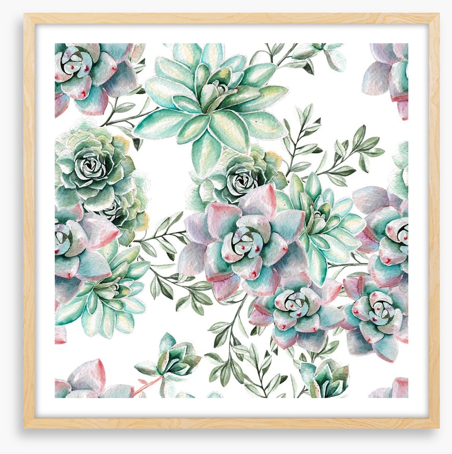 Succulent spring