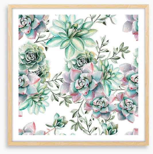 Succulent spring