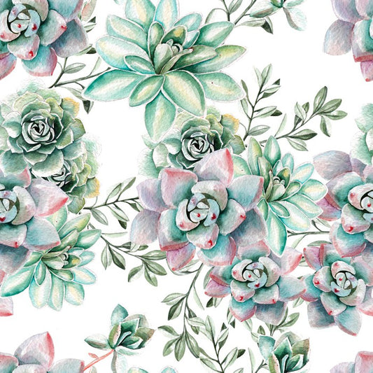 Succulent spring