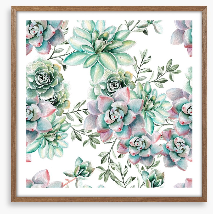 Succulent spring
