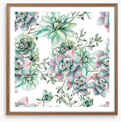 Succulent spring