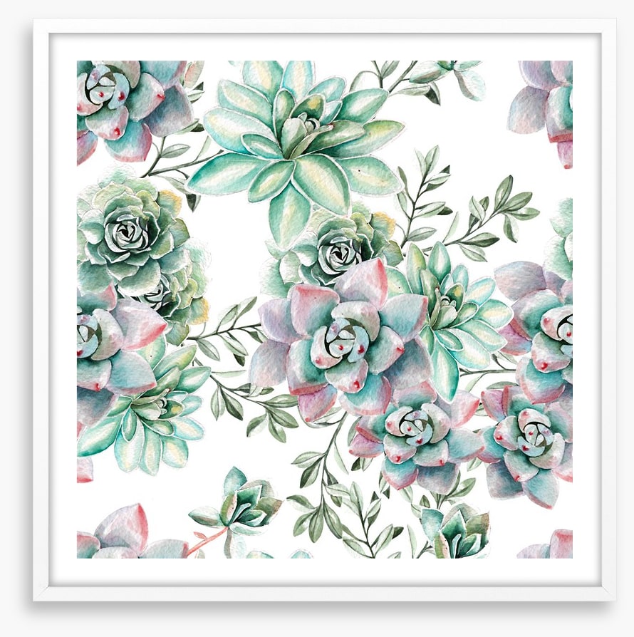 Succulent spring