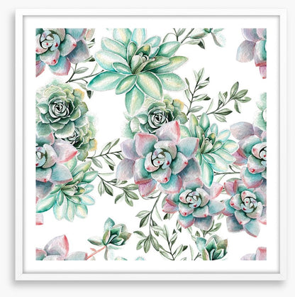 Succulent spring