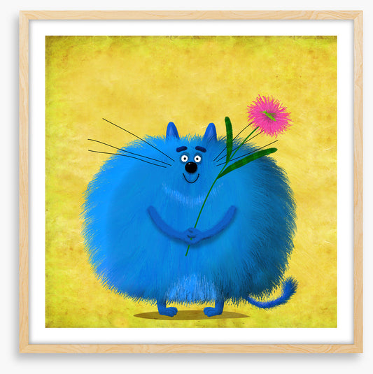 Fat blue cat