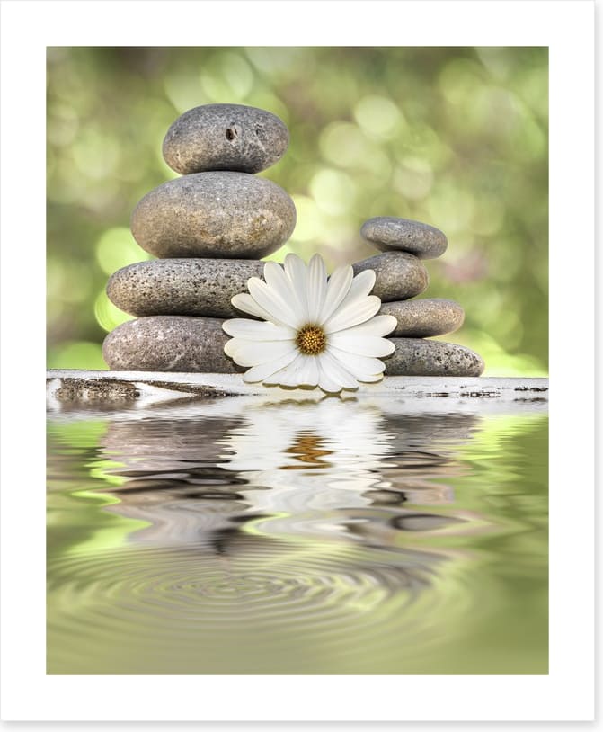 Rest and reset