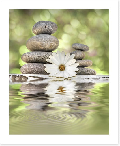 Rest and reset