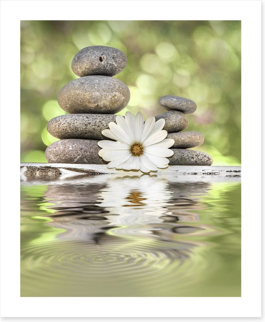 Rest and reset