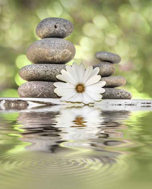 Rest and reset