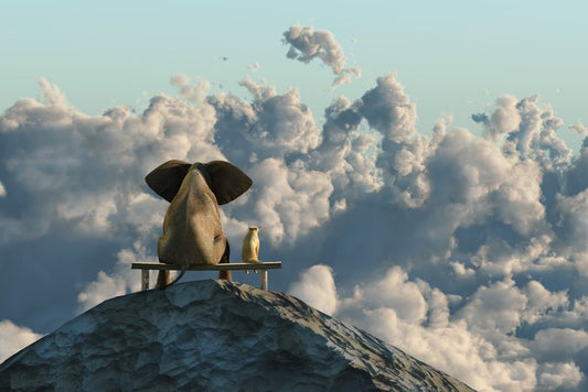 Together in the clouds