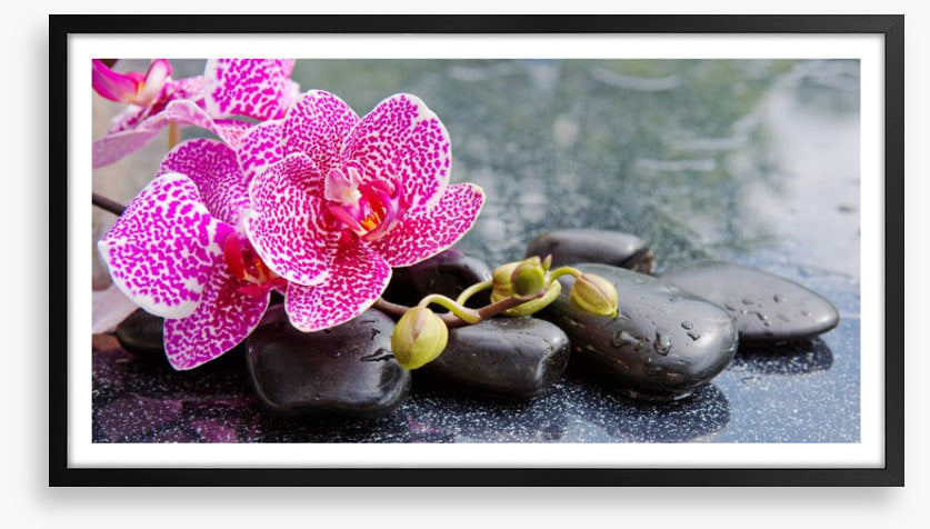 Speckled stones