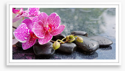 Speckled stones