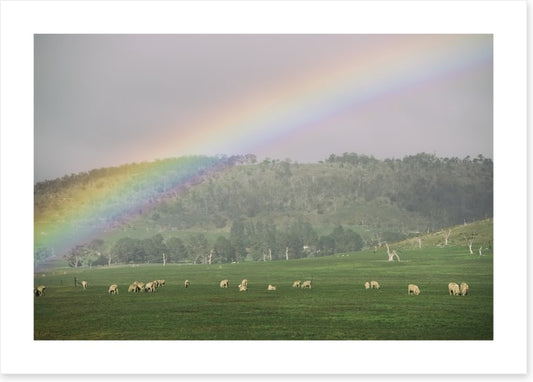 Tasmania