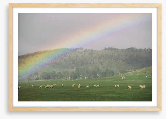 Tasmania