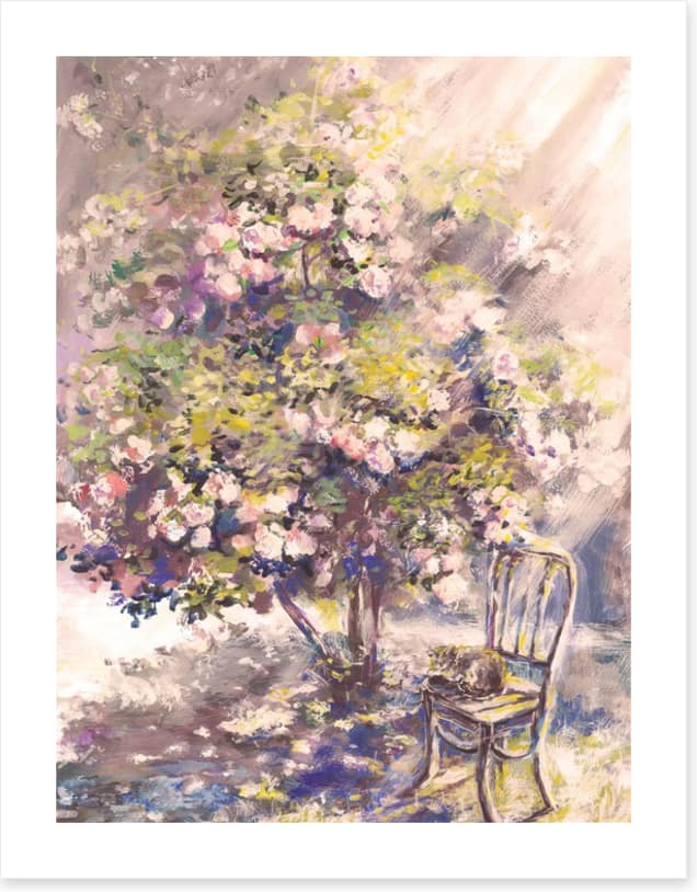 A rosy afternoon