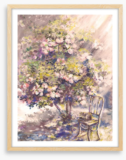 A rosy afternoon