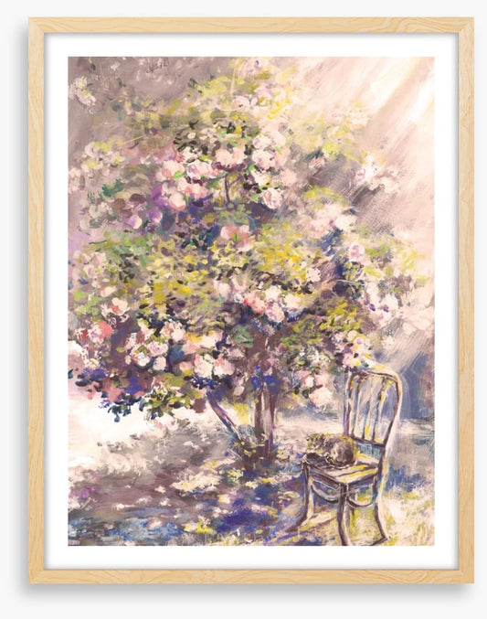 A rosy afternoon