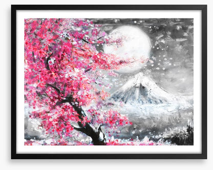 Sakura evening