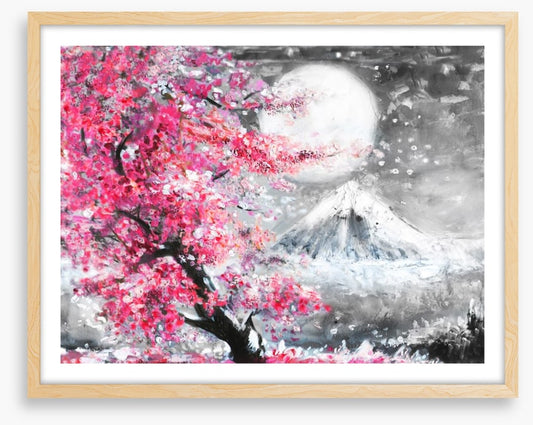 Sakura evening