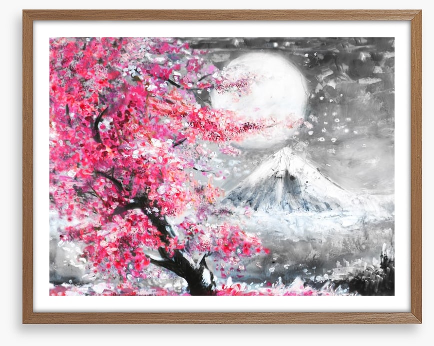 Sakura evening
