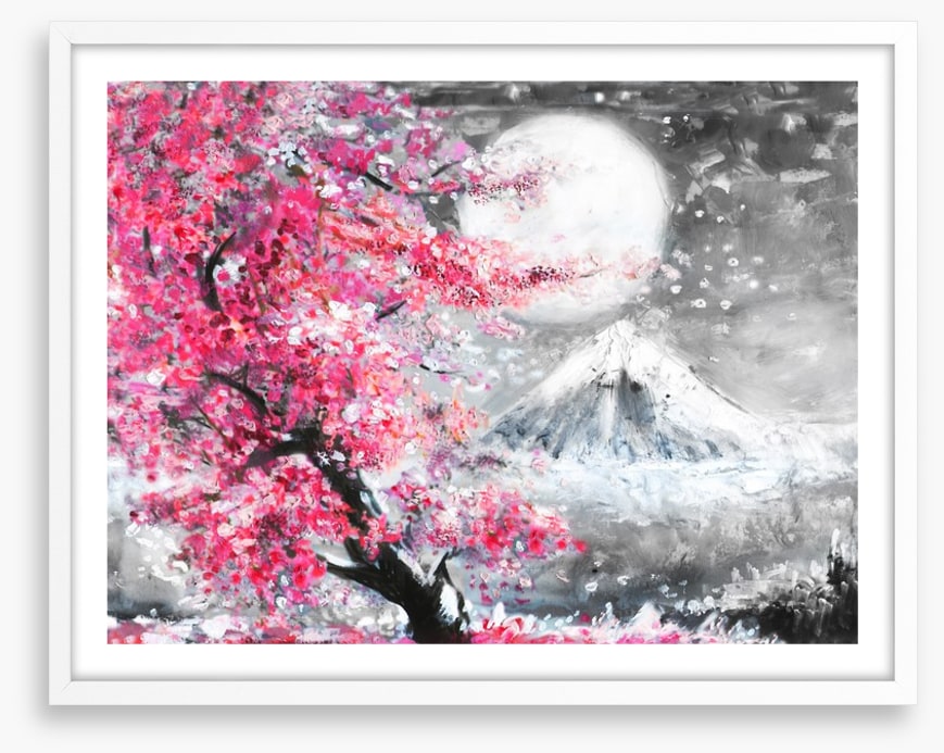 Sakura evening