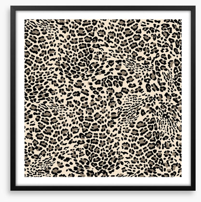 Animal Print