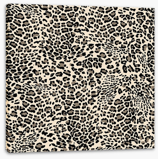 Animal Print
