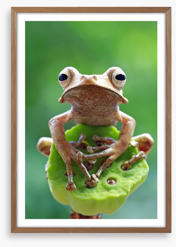Hanging on