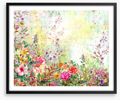 Spring in the garden