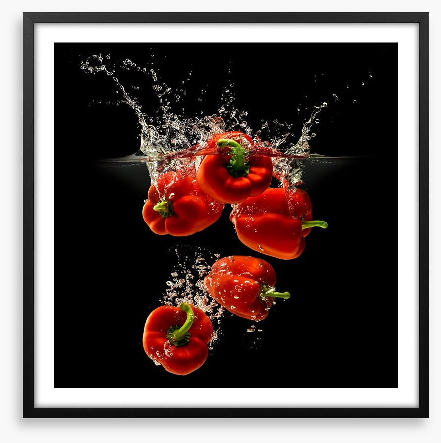 Capsicum splash
