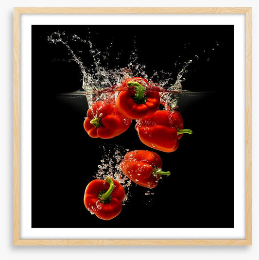 Capsicum splash