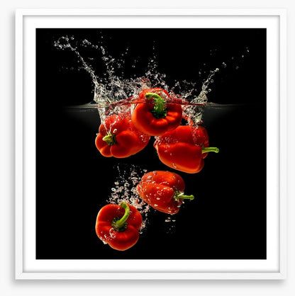 Capsicum splash